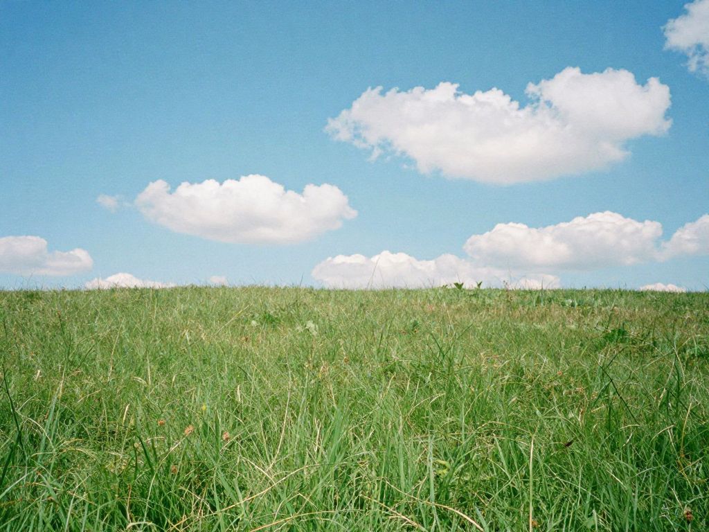 Aesthetic Comparison: Turf vs. Grass (and What Actually Looks Better Long-Term)