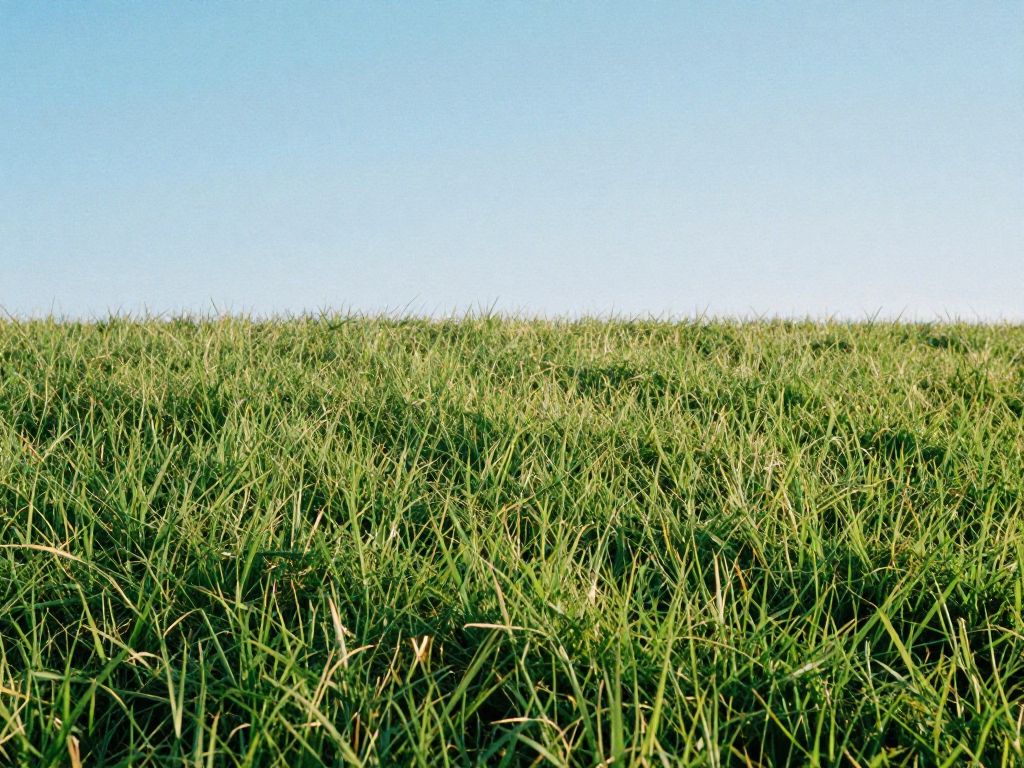 Turf Density & Face Weight Explained: The Fast Way to Understand How “Thicker” Turf Really Works