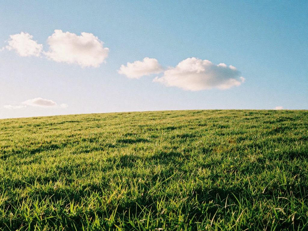 Base Material Installation for Turf: The Step That Makes Everything Work